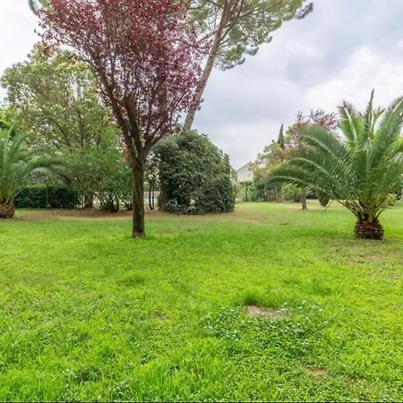 Cosy T3 - Jardin - Parking - Piscine Leilighet Montpellier Eksteriør bilde